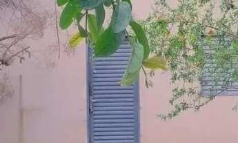 Imagem 3: Vendo casa dois quartos simples na vila delfiori aparecida de Goiânia