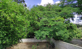 Imagem 2: Alugo kitnet Kitnet com 1 dormitório