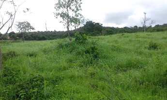 Imagem 2: Excelente propriedade com 306 hectares a 34 km de Cocos - BA