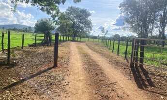 Imagem 6: Sítio de 5 alqueires em Iporá Goiás