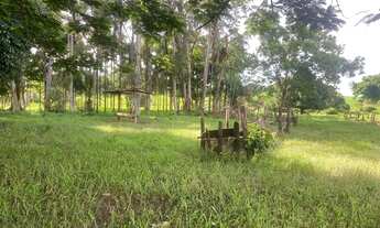 Imagem 7: Sítio de 5 alqueires em Iporá Goiás