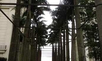 Imagem 6: APARTAMENTO - CIDADE JARDIM - SP