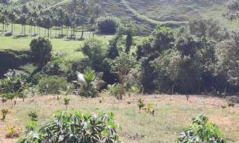 Imagem 2: Lote com mil metros quadrados