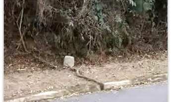 Imagem 3: AREA - CARAGUATÁ - SP