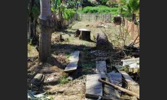 Imagem 3: Terreno zona sul 12 x 45 metros