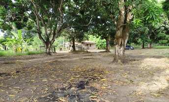 Imagem 3: Sítio em CAUCAIA-CE a 2 kms da aço cearense e BR 222