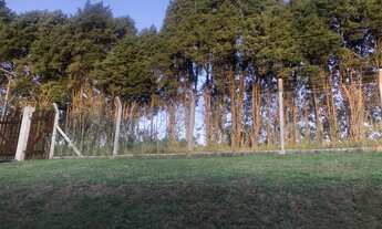 Imagem 7: CHACARA - CENTRO - SP