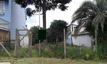 Imagem 2: Porto Alegre - Terreno Padrão - Tristeza