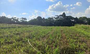 Imagem 4: Corra e compra seu terreno com preço excelente!!! - Cotia - SP