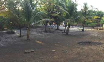 Imagem 7: Vendo sítio Chácara com venda por R$150.000