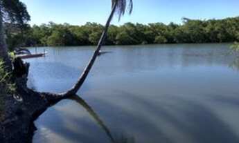 Imagem: Baia de Camamu