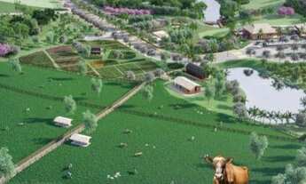 Imagem 4: Santa Leopoldina - Terreno Padrão - Centro