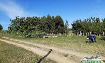 Imagem 4: Sítio em Águas claras 3 hectares somente 4 km do asfalto