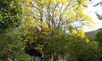 Imagem: Fazenda a 1h30 de Juiz de Fora - MG