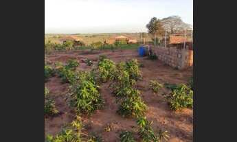 Imagem 2: Chácara em panorama