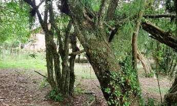 Imagem 4: Sítio em Águas claras, condomínio fechado, com ótima casa, escriturado