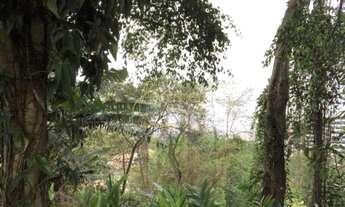 Imagem: Terreno em ótima localização. Confira!