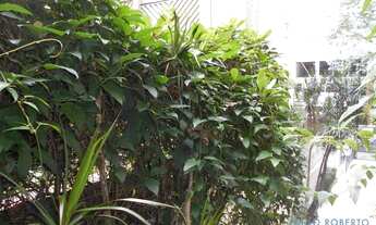 Imagem 2: APARTAMENTO - JARDIM PAULISTA - SP