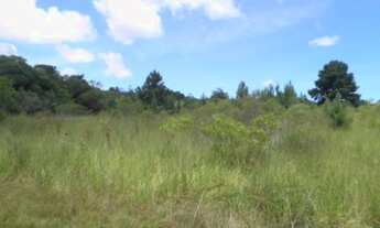 Imagem 2: Porto Alegre - Terreno Padrão - Lageado