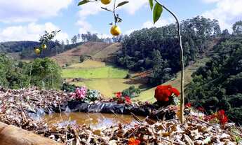 Imagem 2: Chácara troco em carro moto