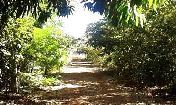 Imagem 3: Vendo Chácara 10.000 m2 na Zona Urbana de Dourados-Ms