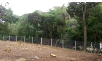 Imagem 2: Porto Alegre - Terreno Padrão - Tristeza