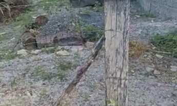 Imagem 5: Terreno em Malhadas- Lado oposto de Praia do forte