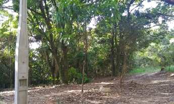 Imagem 3: AREA - BARRA FUNDA - SP