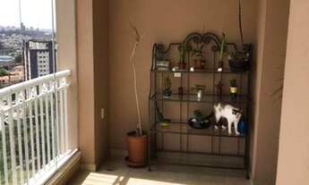 Imagem 3: COBERTURA - BUTANTÃ - SP