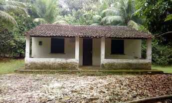 Imagem 2: Sítio com fonte no fundo