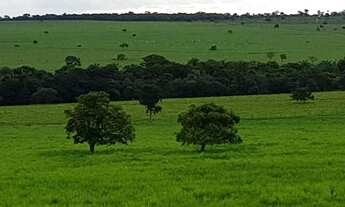 Imagem 3: Linda fazenda em Nova xavantina MT
