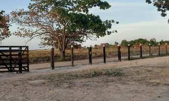 Imagem: SÍTIO COM BANHO BOITRNTO