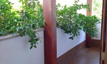 Imagem 3: Vendo Casa com 3 quartos (2 suites) em Rio Tavares - Florianópolis