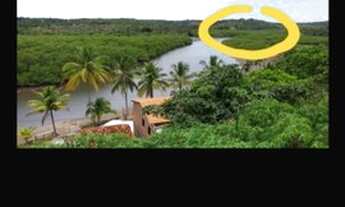 Imagem 6: Baia de Camamu Chácara com venda por R$350.000