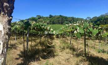 Imagem 5: GARIBALDI - Terreno Padrão - Santo Alexandre