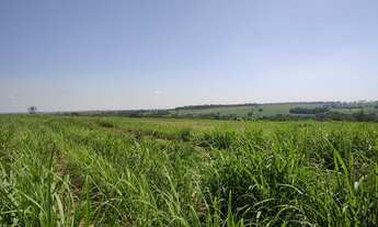 Imagem: Sitio 25 alqueires com 22 alqueires com