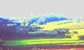 Imagem 2: SÍTIO - CIDADE SINGER - SP