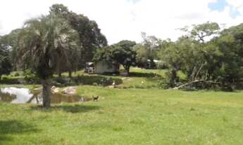 Imagem 3: Porto Alegre - Terreno Padrão - Lageado