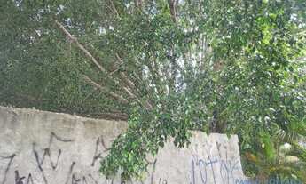 Imagem 2: AREA - MORUMBI - SP