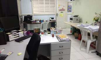 Imagem 7: GALPÃO - BUTANTÃ - SP