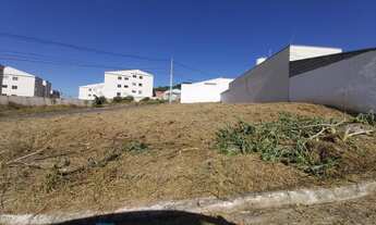 Imagem 4: Lote Santo Expedito