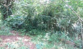 Imagem 7: Porto Alegre - Terreno Padrão - Ponta Grossa