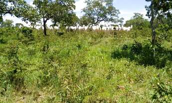 Imagem 5: Fazenda 3.5 Alqueires Municipio Jaragua