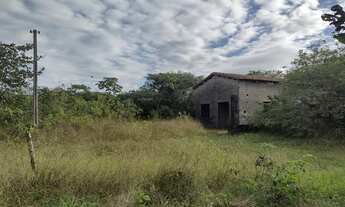 Imagem 4: Sítio em CAUCAIA-CE a 2 kms da aço cearense e BR 222