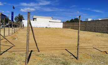 Imagem 4: Lote Jardim Botânico III quadra 11 conjunto C