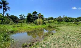 Imagem 4: Sítio para Venda em Balneário Piçarras, Morro Alto