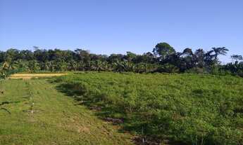 Imagem 4: Lindo Sítio na AM010