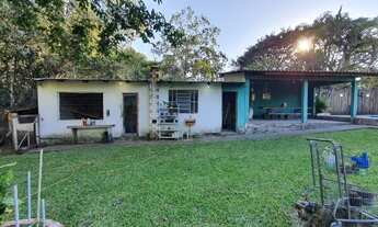 Imagem 7: Porto Alegre - Sítio - Restinga