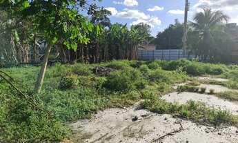 Imagem 7: EXCELENTE Terreno 6.277m2 Próximo ao Laranjeiras Premium. Na pista e murado