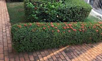 Imagem 7: Casa com 3 quarto(s) no bairro Santa Rosa em Cuiabá - MT